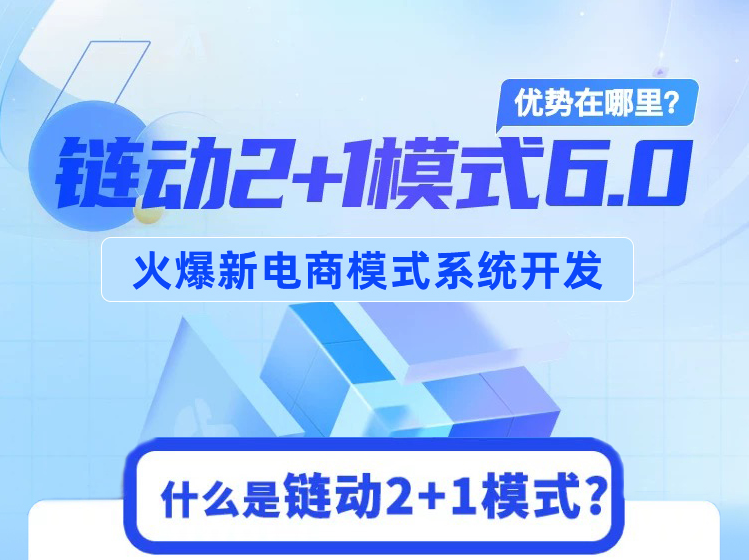 蓝果网络链动 2 + 1 模式 6.0：火爆新电商模式系统开发解析
